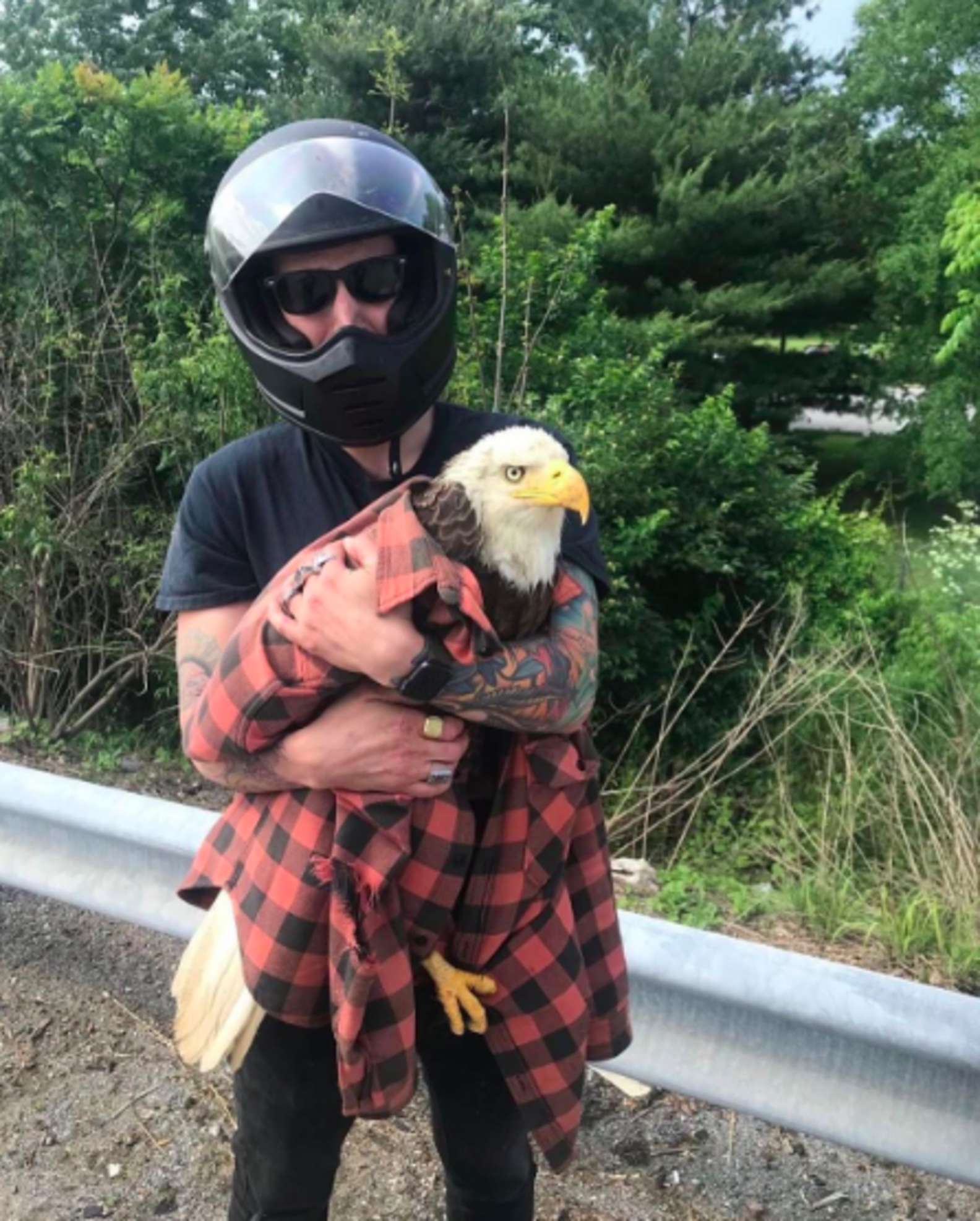 1657684158 62 hombre ve un aguila calva atrapada en el trafico y