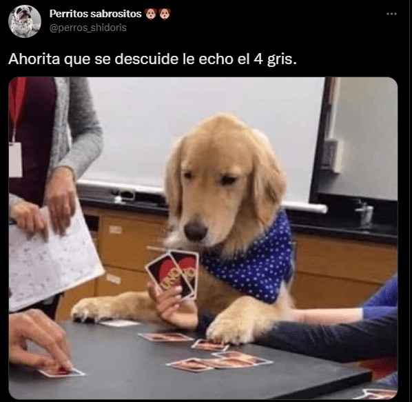 1658550361 441 los mejores memes del dia mundial del perro