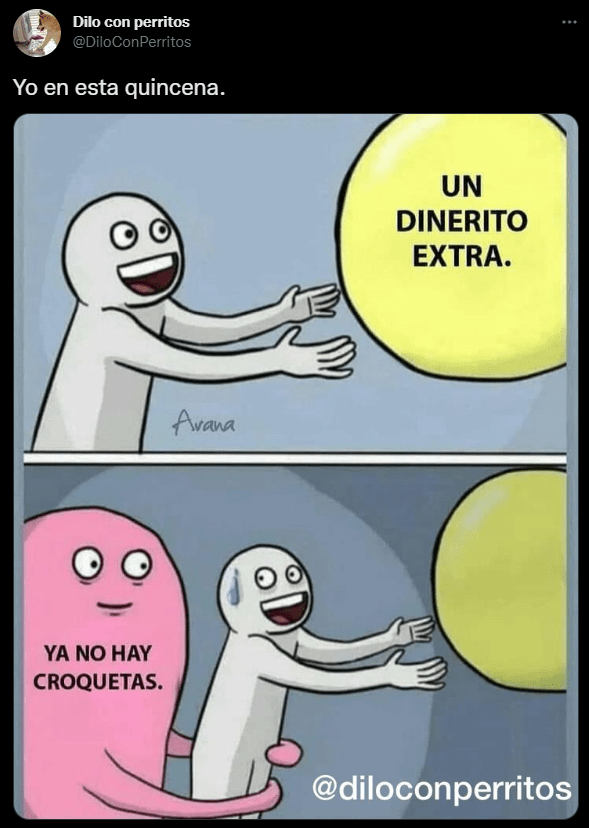 1658550362 118 los mejores memes del dia mundial del perro