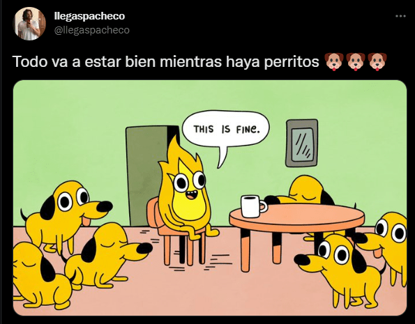 1658550362 130 los mejores memes del dia mundial del perro