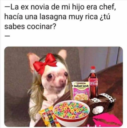 1658550362 641 los mejores memes del dia mundial del perro