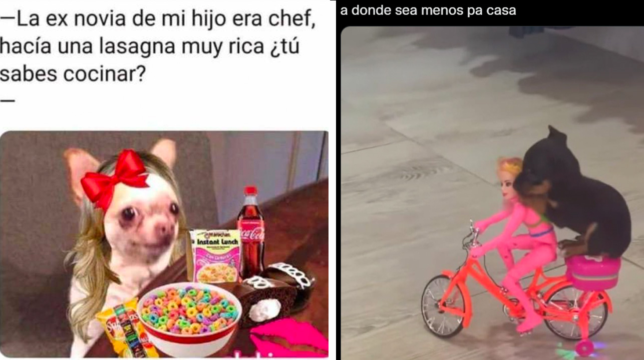 1658550363 Los mejores memes del Dia Mundial del Perro