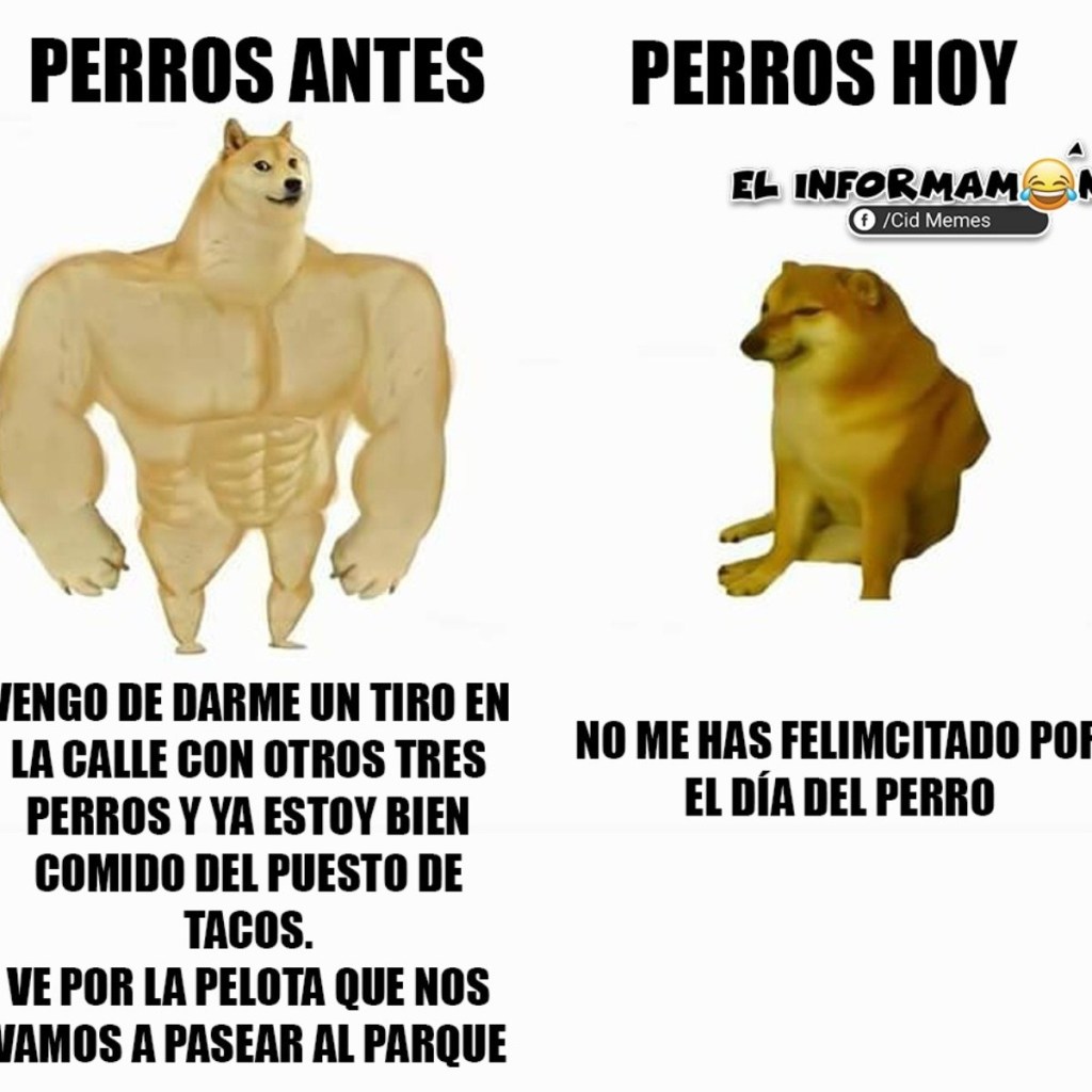 Los mejores memes del dia mundial del perro