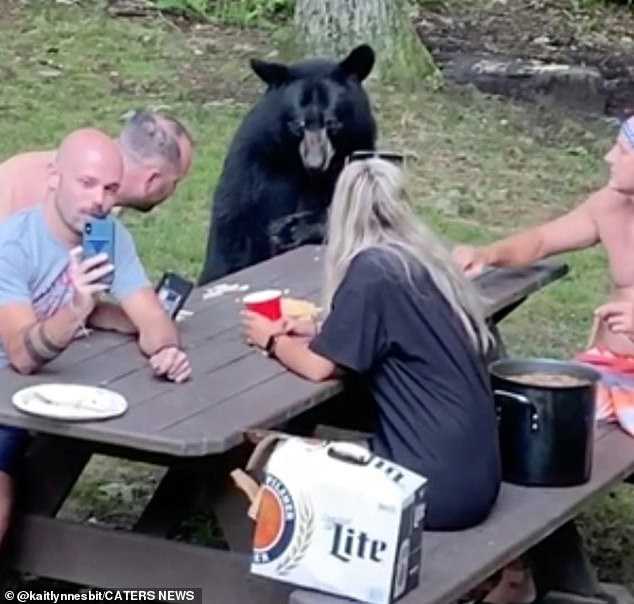 1659759835 991 wild black bear se une al picnic familiar y