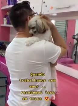 1660280390 664 adorable cachorro no puede dejar de abrazar a su peluquero