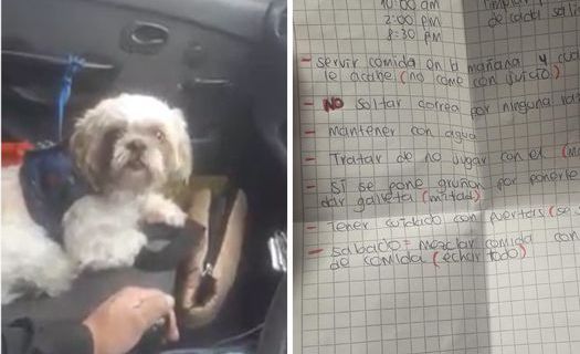 Dejas un cachorro en un taxi con una nota con