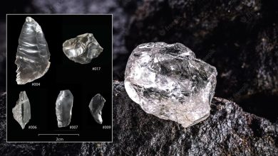 Descubren cientos fragmentos cristal brillantes sitio entierro prehistorico portada