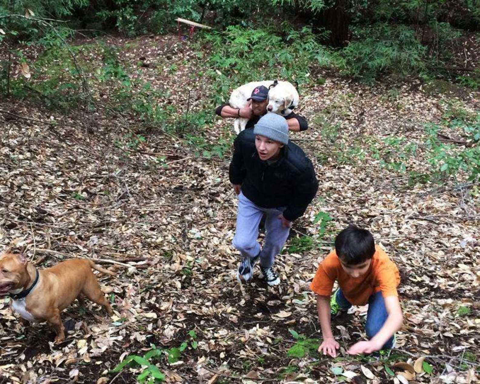 1662354030 792 rescatan a perro ciego desaparecido por mas de una semana