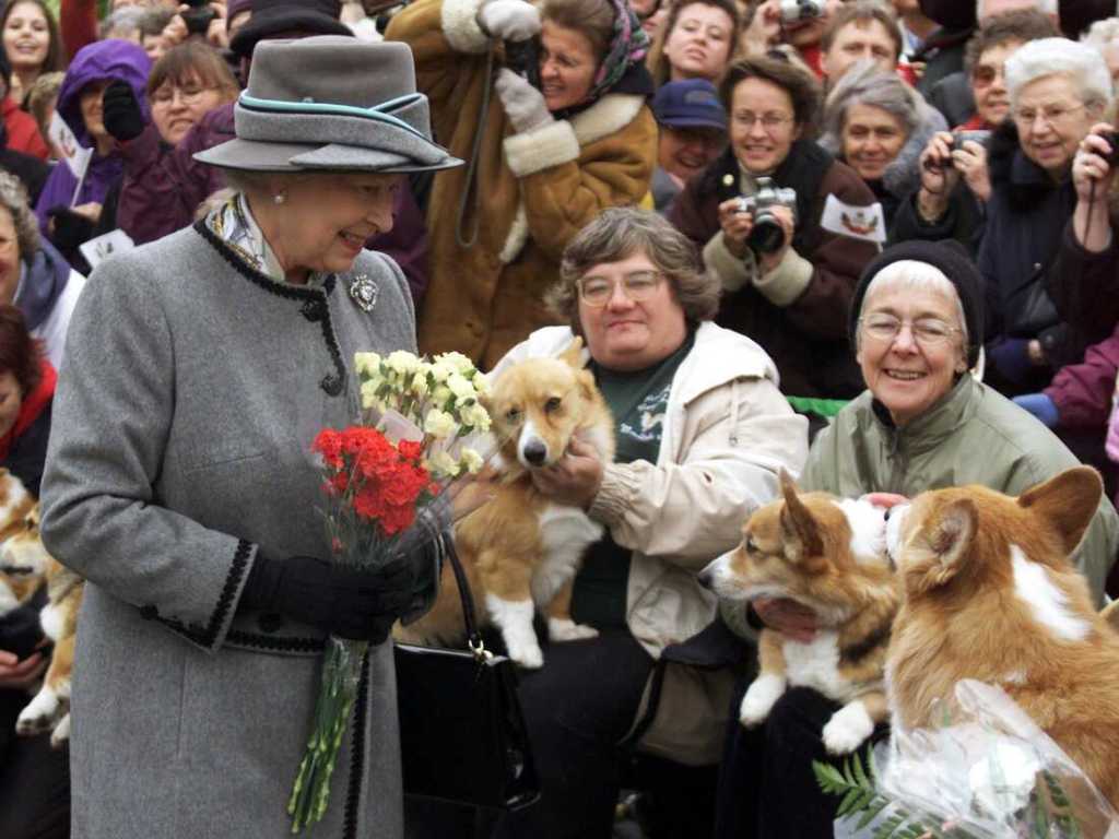 1662874641 782 ¿Que sera de los queridos perros de la reina Isabel