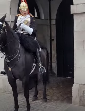 1663479869 950 toca el caballo para una foto y la guardia real