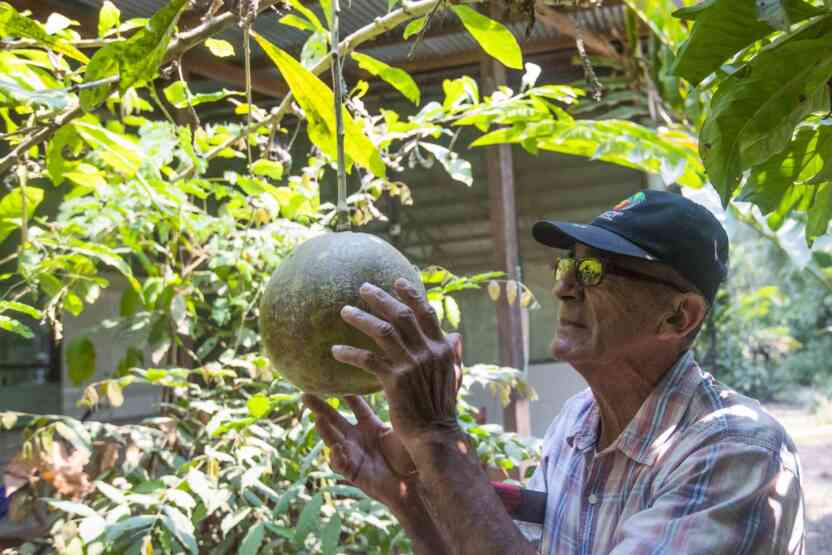 Madre de Dios Conoce y disfruta dos experiencias de turismo