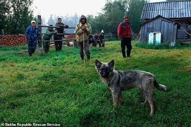 1665889056 259 perro fiel que sobrevivio durante 3 anos y 12 dias