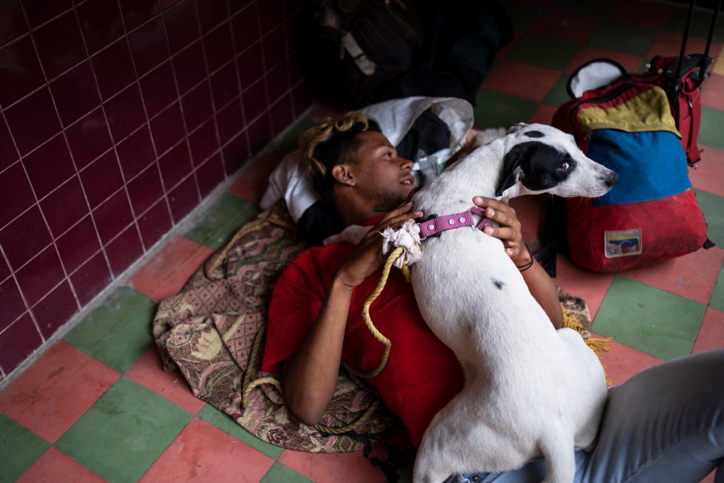 1666149052 894 la desgarradora historia de los cachorros cruzando el tapon del