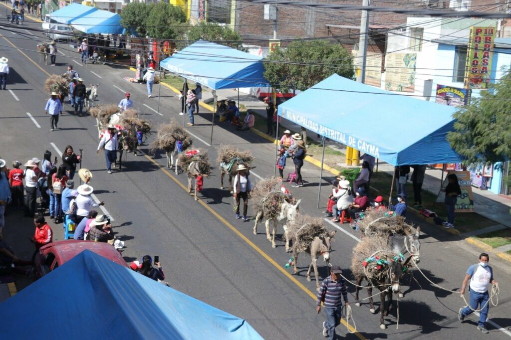 1668918104 653 mas de 2000 danzantes participaron en desfile 199 aniversario de