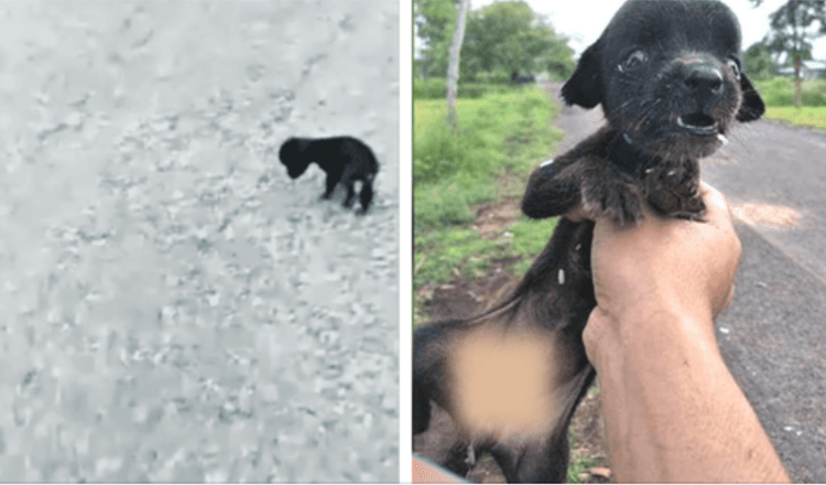 Bebe ciego temblando de hambre caminaba de un lado a