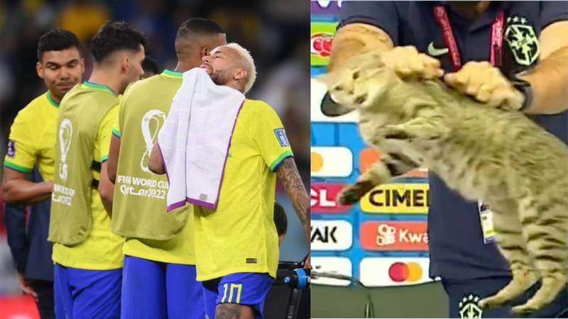 La maldicion del gato Brasil quedo eliminado tras el evento