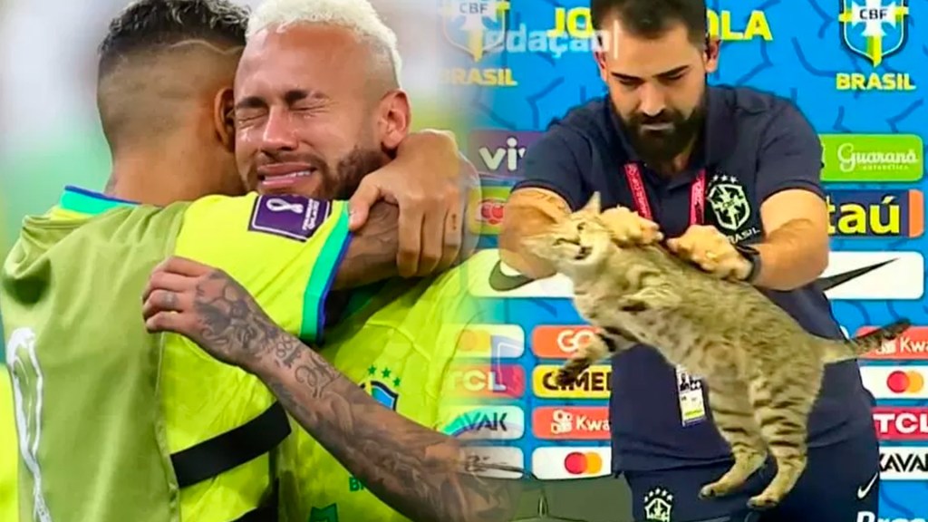 1670995542 182 por tirar un gato la seleccion brasilena recibio una demanda