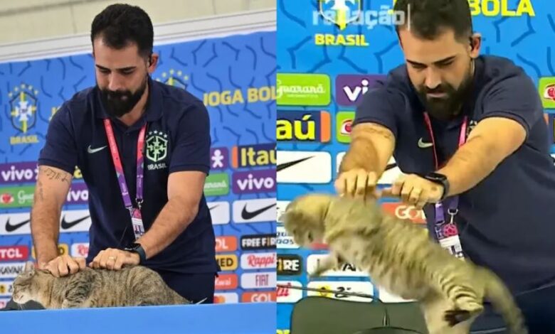 1670995543 por tirar un gato la seleccion brasilena recibio una demanda