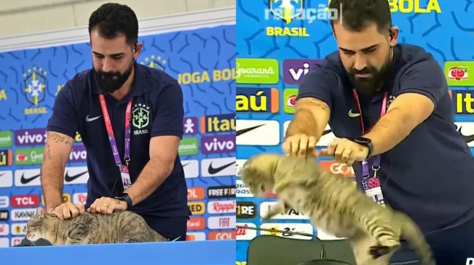 1670995543 Por tirar un gato la seleccion brasilena recibio una demanda