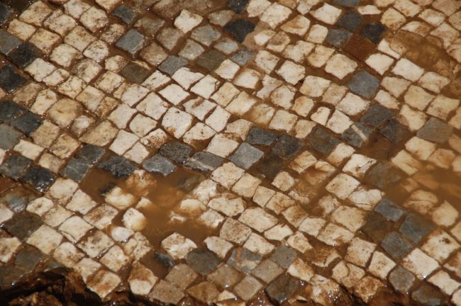 1671817966 647 enorme mosaico romano encontrado debajo del campo de un granjero