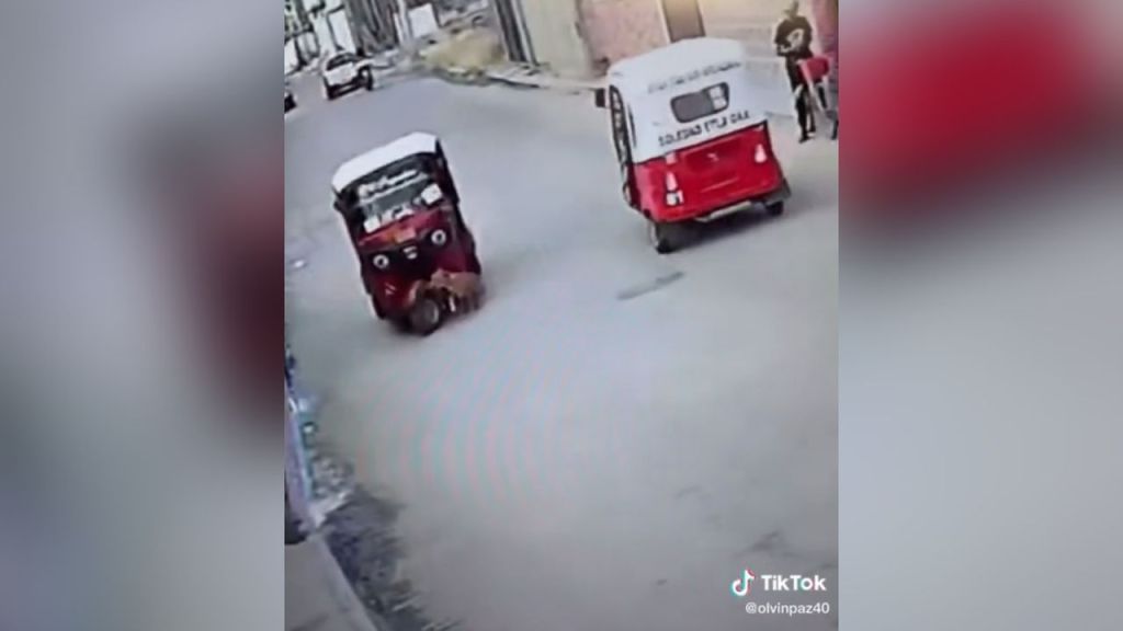 Inesperado momento en que un perro atropello a una