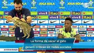 Por tirar un gato la seleccion brasilena recibio una demanda