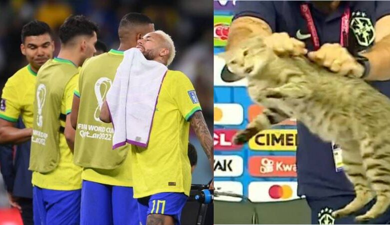 La maldicion del gato brasil quedo eliminado tras el evento