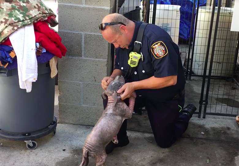 1675231888 563 la triste perrita rescatada se llena de alegria cuando el