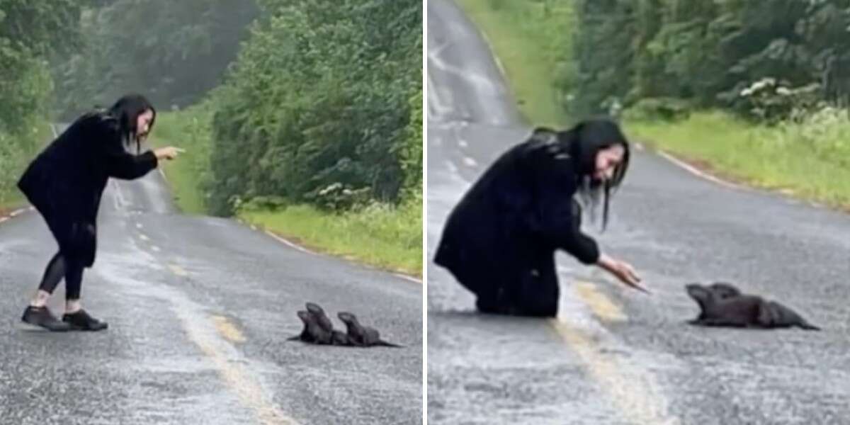 1679948145 Mujer encuentra un grupo peludo en la calle y sabe