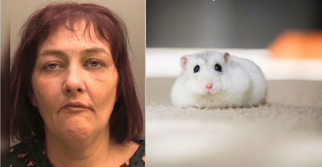 1680034594 Mujer es condenada por torturar y comerse un hamster