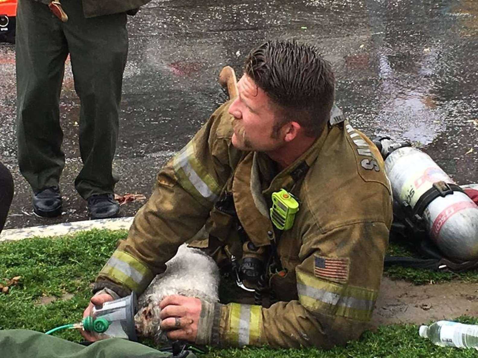 Los bomberos se niegan a renunciar a rescatar perros pequenos
