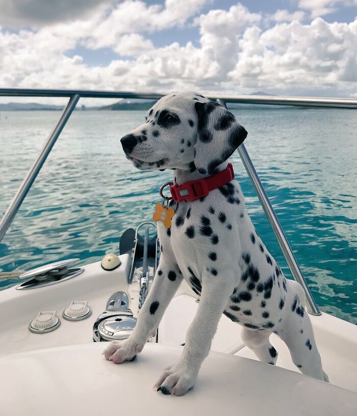 Primer dia en el barco