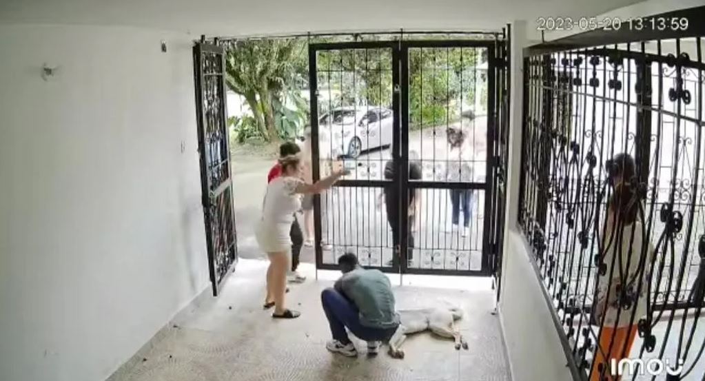 1685051313 784 video hombre de 80 anos envenena al perro de su