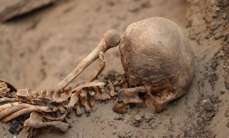 Cementerio prehispanico de macaton en huaral podria albergar mas senores