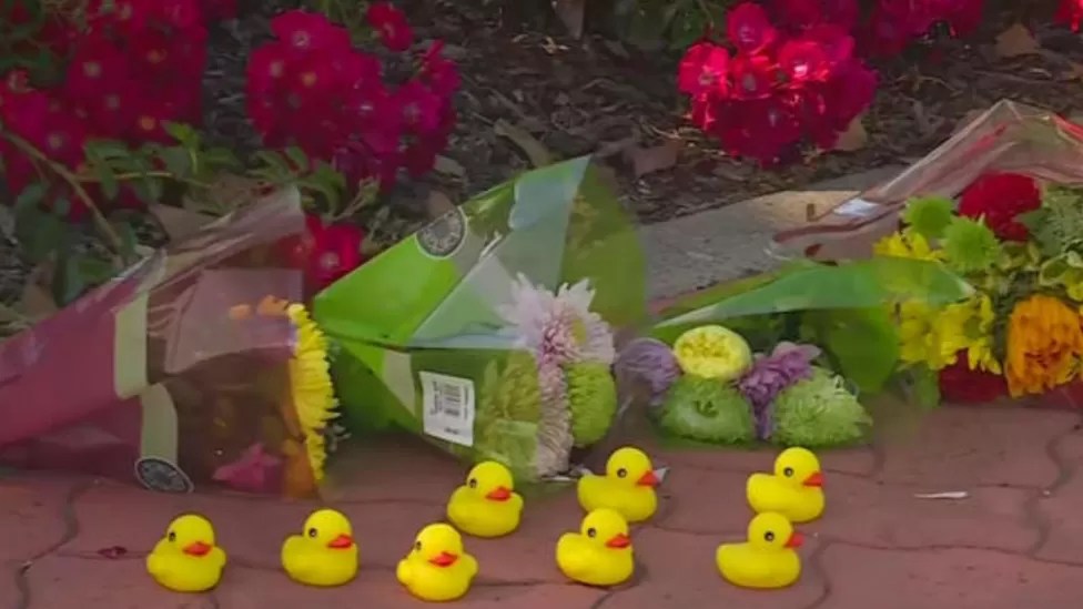 California: un hombre muere atropellado después de ayudar a los patos a cruzar la calle - tvmnews. Mt