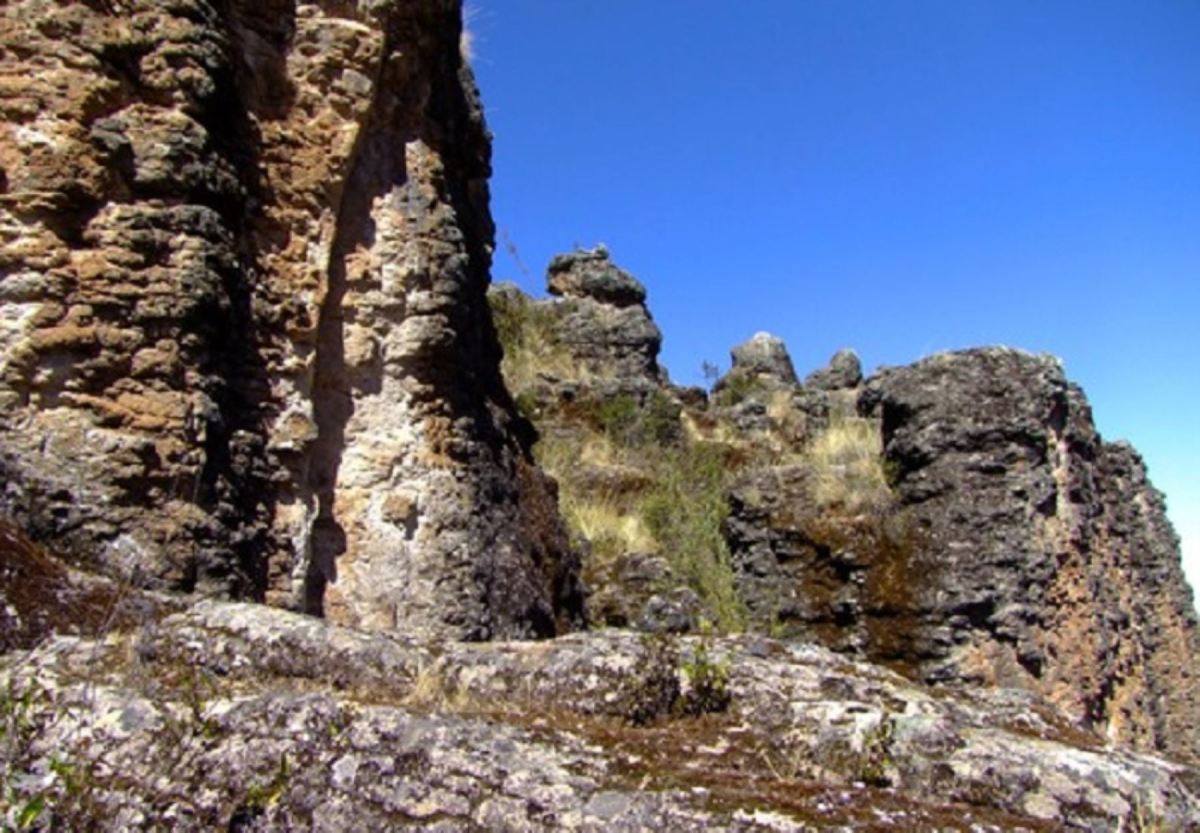 Ayacucho conoce el complejo litico de Salviayocc y el bosque